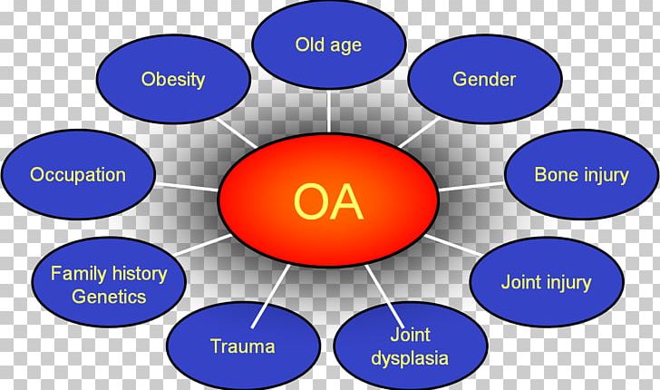 Osteoarthritis Risk Factor Knee Arthritis Old Age PNG, Clipart, Area, Brand, Chronic Condition, Circle, Communication Free PNG Download