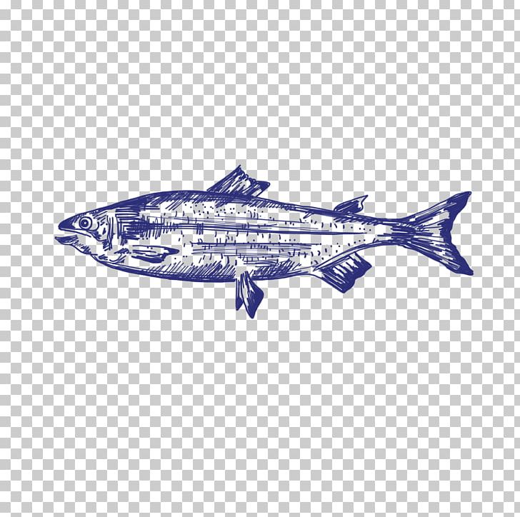 Porpoise Airplane Sardine Shark Aerospace Engineering PNG, Clipart, Aerospace, Aerospace Engineering, Aircraft, Airline, Airplane Free PNG Download