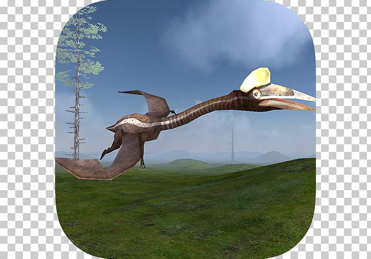 Pterosaur Flight Simulator 3D Bottle Shoot Game Ultimate Jungle Simulator Ultimate Savanna Simulator PNG, Clipart, 3 D, Albatross, Android, Beak, Bird Free PNG Download