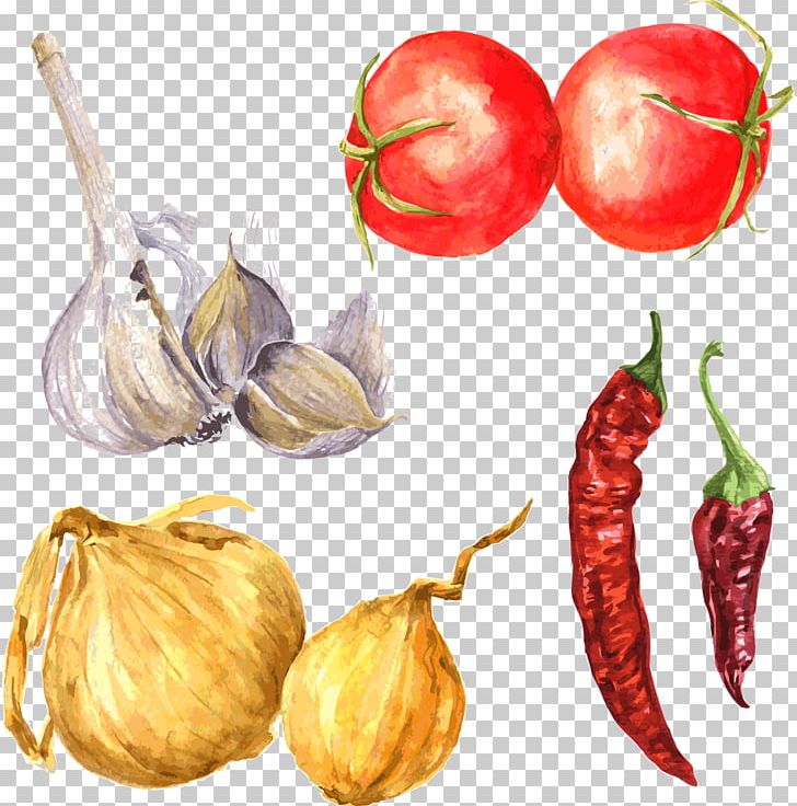Drawing Spice Garlic Illustration PNG, Clipart, Apple, Art, Bell Peppers And Chili Peppers, Chili Pepper, Food Free PNG Download