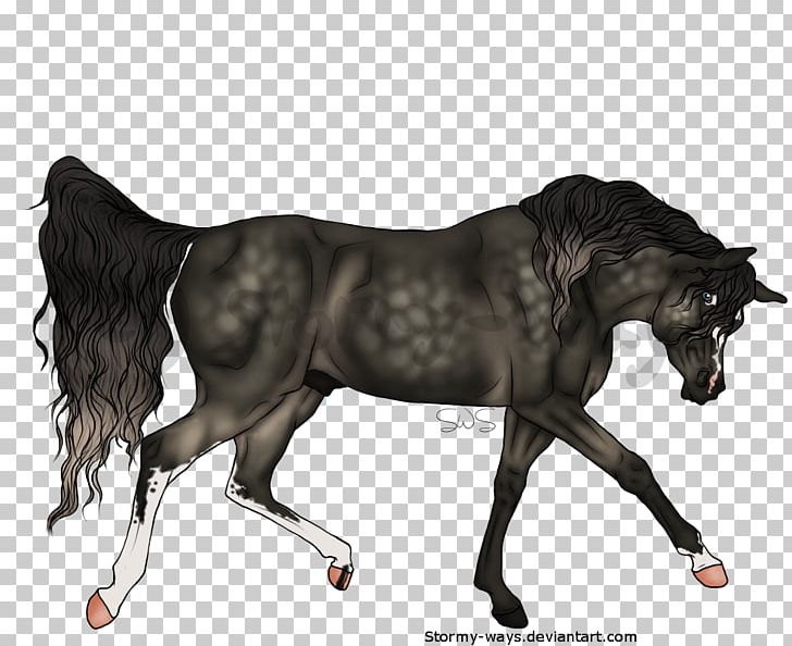 Mustang Stallion Mare Foal Colt PNG, Clipart, Bridle, Colt, Fauna, Foal, Halter Free PNG Download