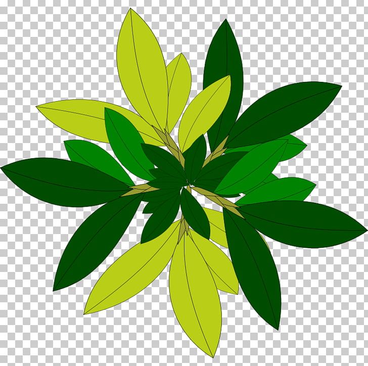 Plant Tree PNG, Clipart, Drawing, Flower, Green, Landscape, Leaf Free PNG Download