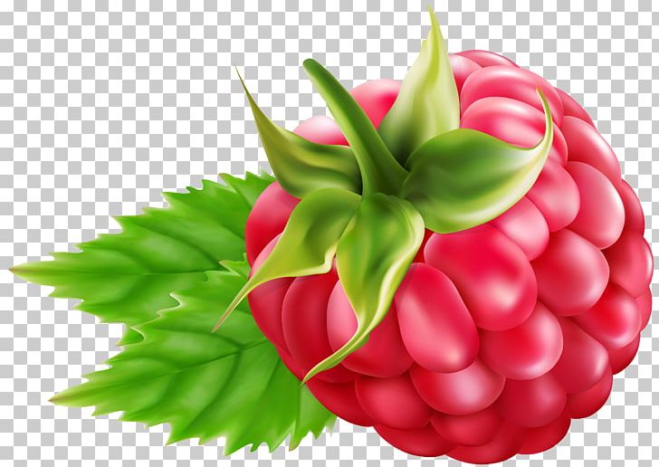 Raspberry Blackberry Fruit PNG, Clipart, Berry, Blackberry, Blog, Desktop Wallpaper, Download Free PNG Download