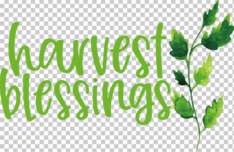Harvest Autumn Thanksgiving PNG, Clipart, Autumn, Green, Harvest, Herb, Herbal Medicine Free PNG Download