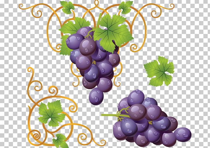 Common Grape Vine Wine PNG, Clipart, Common Grape Vine, Document, Download, Flowering Plant, Food Free PNG Download
