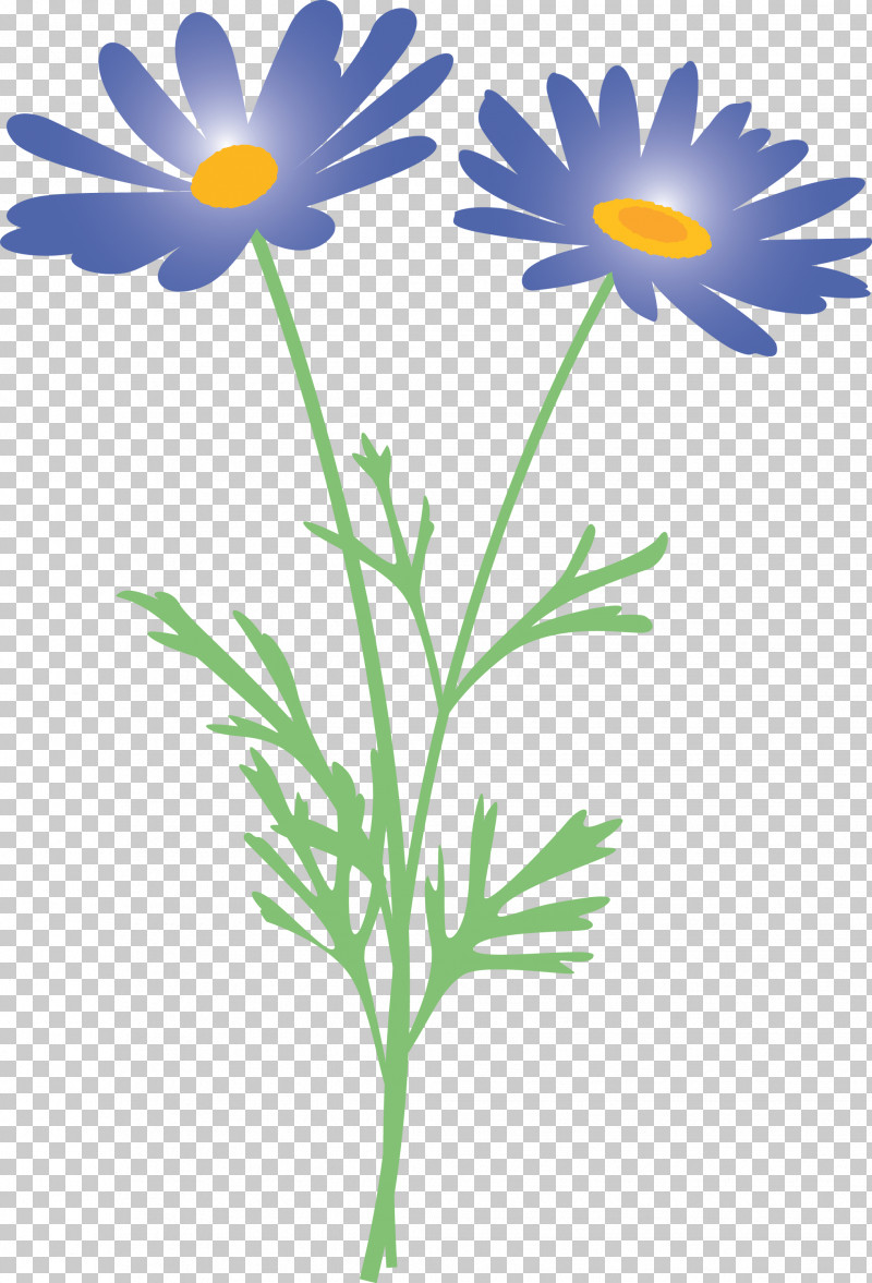 Marguerite Flower Spring Flower PNG, Clipart, African Daisy, Camomile, Chamomile, Daisy, Daisy Family Free PNG Download