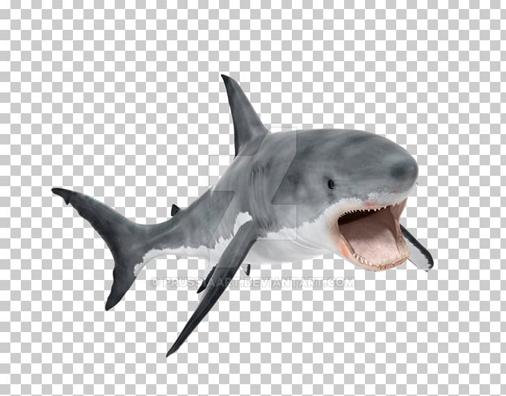 Great White Shark Tiger Shark Whale Shark Requiem Shark PNG, Clipart, 3d Modeling, Animals, Animated Film, Carcharhiniformes, Cartilaginous Fish Free PNG Download