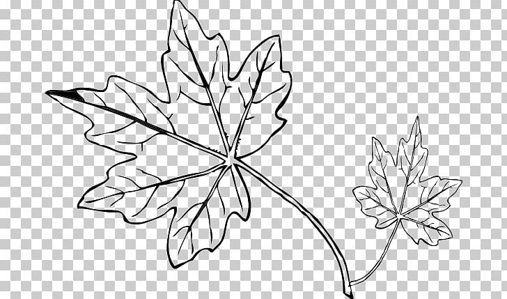 Maple Leaf Drawing Line Art PNG, Clipart, Angle, Art, Artwork, Autumn, Autumn Leaf Color Free PNG Download