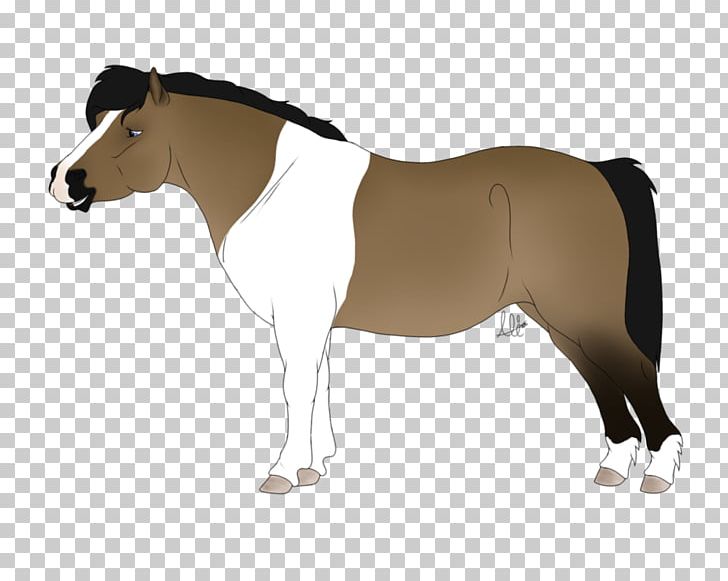 Mane Mustang Stallion Mare Rein PNG, Clipart, Bridle, Dog Harness, Halter, Horse, Horse Harness Free PNG Download
