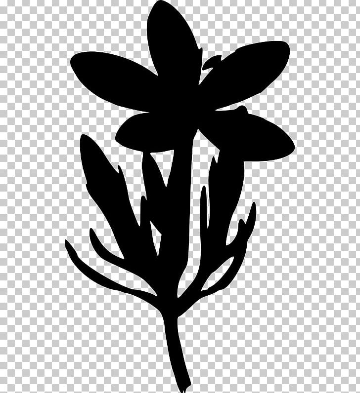 Silhouette Flower PNG, Clipart, Animals, Artwork, Black And White, Branch, Common Free PNG Download