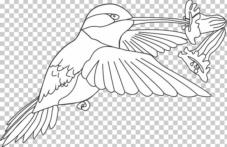 Beak Bird Drawing Line Art Coloring Book PNG, Clipart, Adult, Animal, Arm, Artwork, Beak Free PNG Download