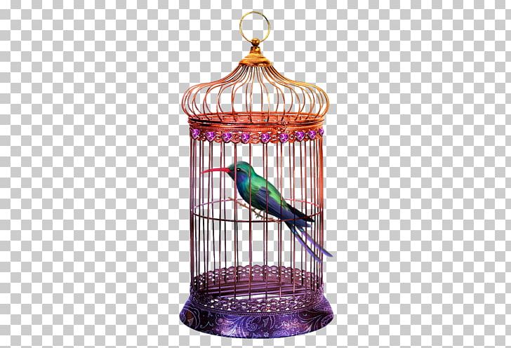 Birdcage Budgerigar Aviary PNG, Clipart, Animals, Aviary, Bird, Birdcage, Bird Nest Free PNG Download