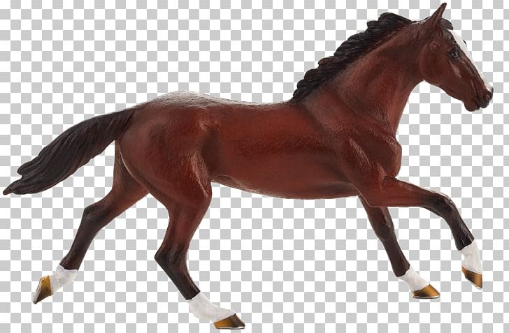 Thoroughbred Mustang Dutch Warmblood Trakehner Stallion PNG, Clipart, Animal, Animal Figure, Bit, Bridle, Dutch Warmblood Free PNG Download