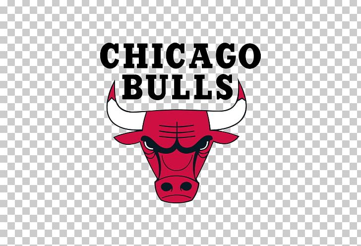 Chicago Bulls Windy City Bulls Durham Bulls Chicago Stags PNG, Clipart, Area, Basketball, Brand, Chicago, Chicago Bulls Free PNG Download