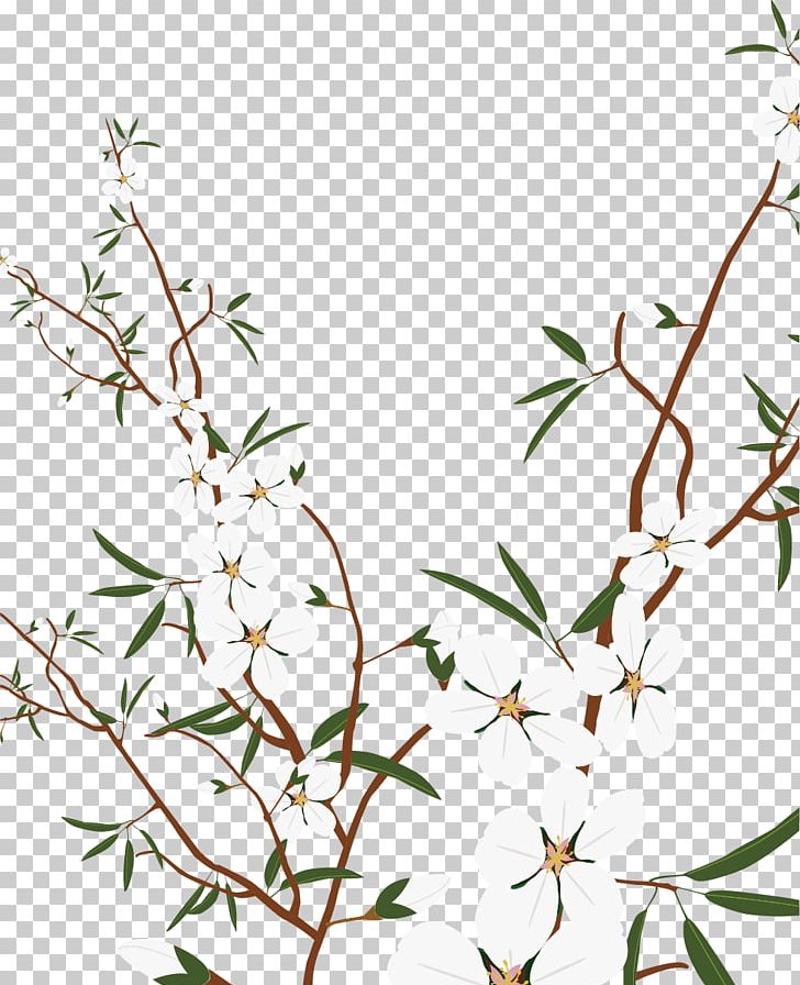 Plum PNG, Clipart, Area, Black White, Branch, Cartoon, Designer Free PNG Download