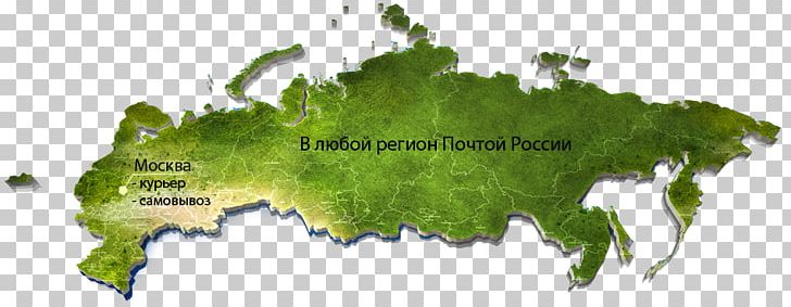 Russia Graphics Illustration PNG, Clipart, Area, Company, Grass, Green, Leaf Free PNG Download