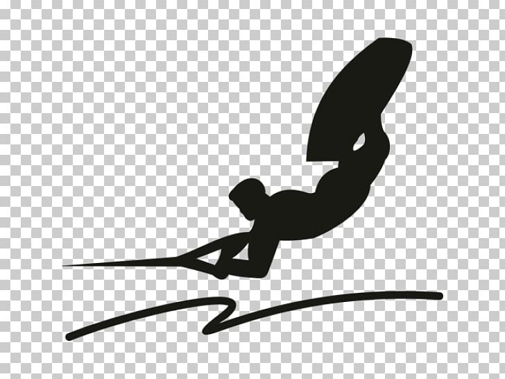 Wakeboarding Sticker Photography PNG, Clipart, Angle, Black, Black And White, Black M, Car Free PNG Download