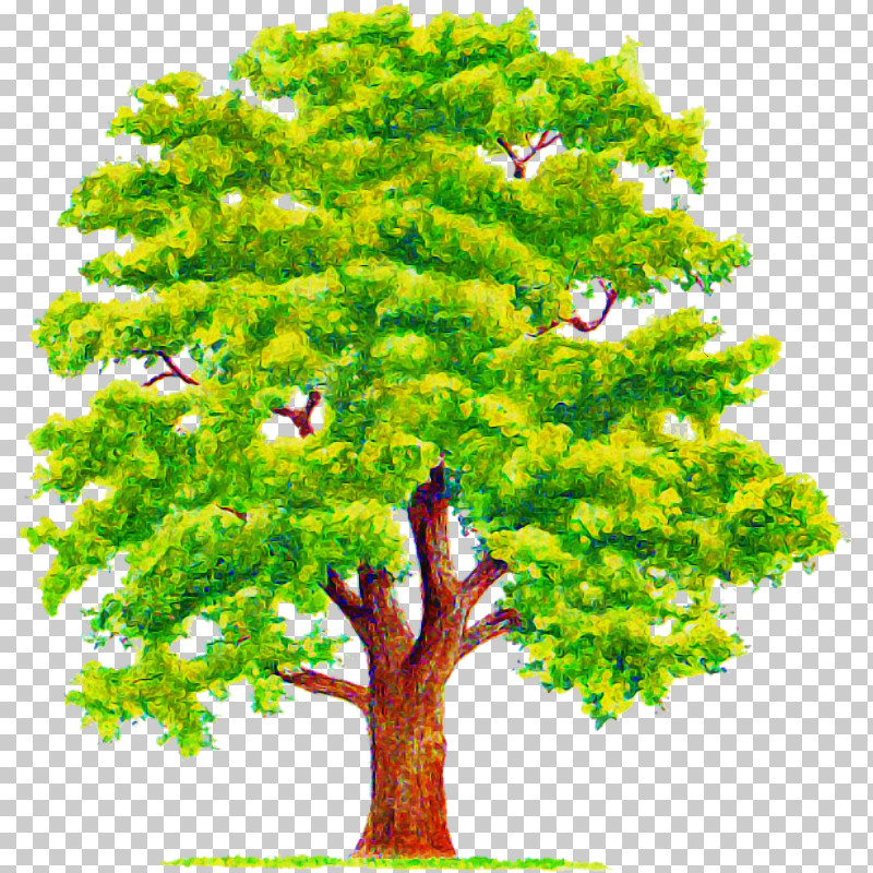 Arbor Day PNG, Clipart, American Larch, Arbor Day, Branch, Flower, Green Free PNG Download