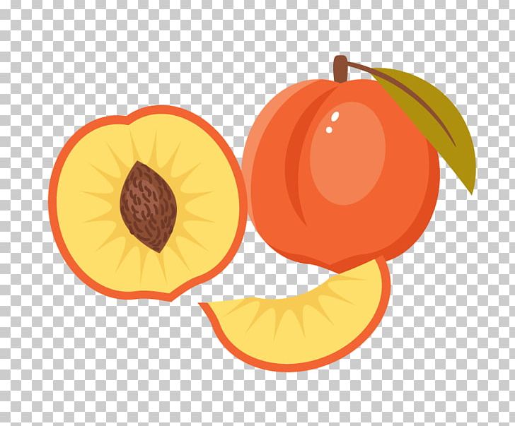 Drawing Peach Illustrator PNG, Clipart, Apple, Art, Book Illustration, Cartoon, Diet Food Free PNG Download