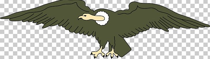 Flag Of Ecuador Condor PNG, Clipart, Accipitriformes, Andean Condor, Animal Figure, Bald Eagle, Beak Free PNG Download
