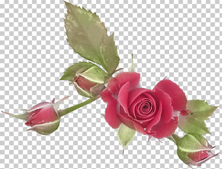 Computer Graphics Red PNG, Clipart, Computer Graphics, Cut Flowers, Download, Encapsulated Postscript, Flo Free PNG Download