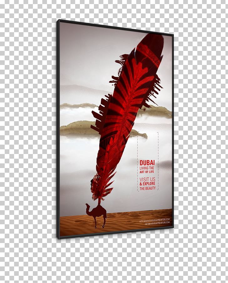 Feather PNG, Clipart, Animals, Dubai, Expo, Expo 2020, Feather Free PNG Download