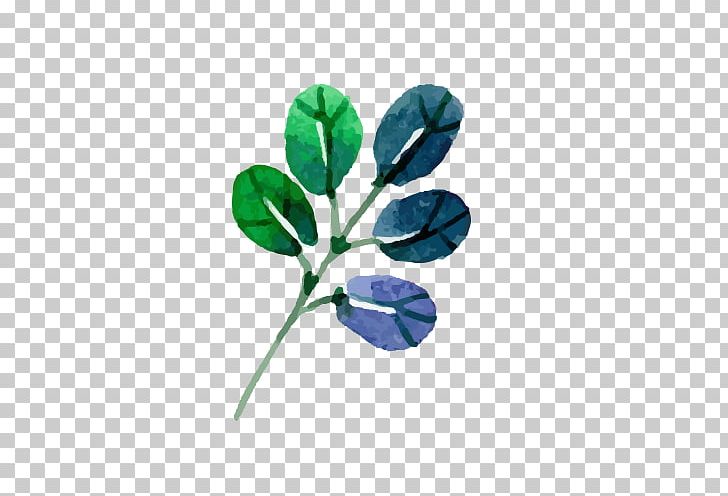 Leaf Flower Drawing PNG, Clipart, Blue, Branch, Clover, Double, Double Twelve Free PNG Download