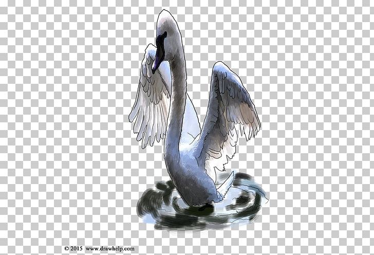Pelican Ducks PNG, Clipart, Beak, Bird, Crane, Crane Like Bird, Cygnini Free PNG Download