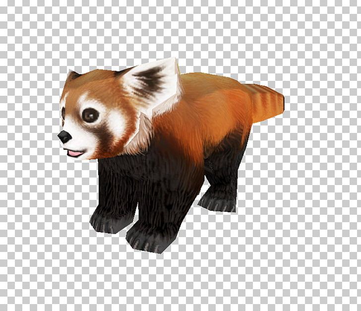Red Panda Bear Giant Panda Fur Snout PNG, Clipart, Animal, Animal Figure, Animals, Bear, Carnivoran Free PNG Download