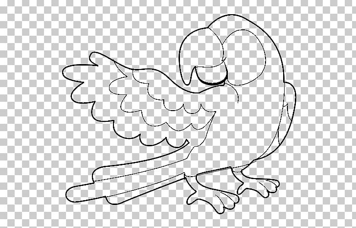 True Parrot Drawing Coloring Book Bird PNG, Clipart, Angle, Animal, Area, Arm, Artwork Free PNG Download