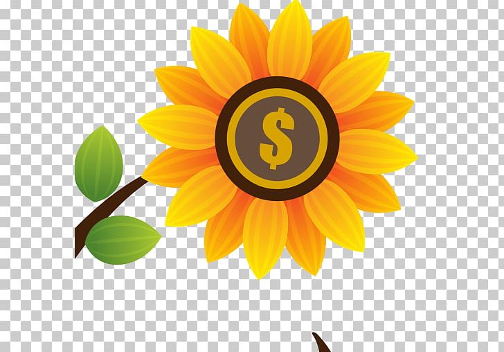 Common Sunflower Sunflower Seed Daisy Family Petal PNG, Clipart, Common Sunflower, Computer Icons, Daisy Family, Flower, Flowering Plant Free PNG Download