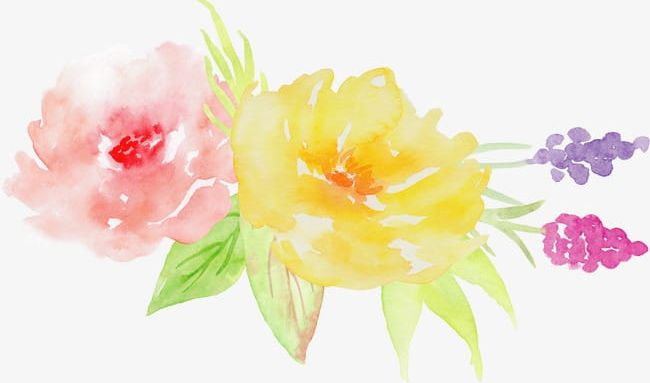 Hand-painted Watercolor Roses Decorative Elements PNG, Clipart, Creative, Creative Design, Decorative Clipart, Design, Elements Free PNG Download