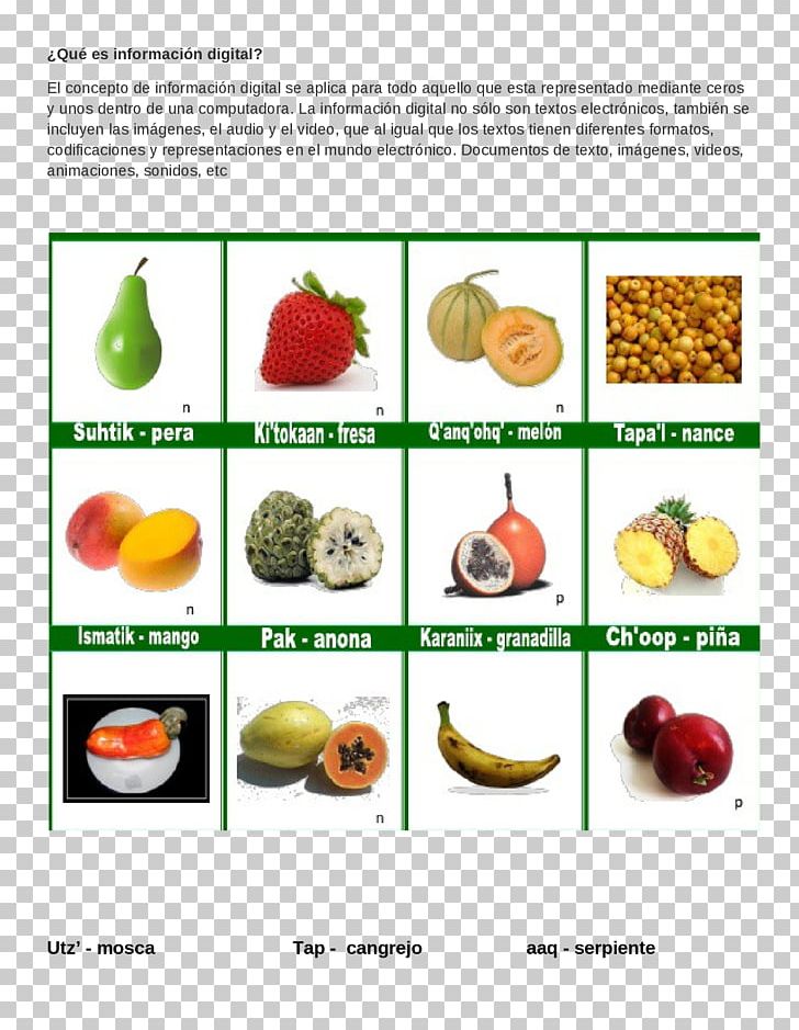 Fruit Vegetable Poqomchi' Language Spanish Language Poqomam Language PNG, Clipart,  Free PNG Download