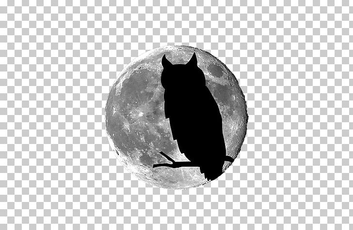Owl Moon Art Full Moon PNG, Clipart, Animals, Art, Black, Black And White, Canvas Free PNG Download