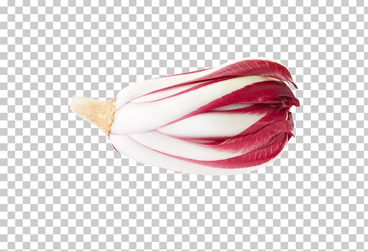 Radicchio Rosso Di Treviso Chicory Stock Photography Vegetable PNG, Clipart, Can Stock Photo, Chickory, Chicory, Depositphotos, Magenta Free PNG Download