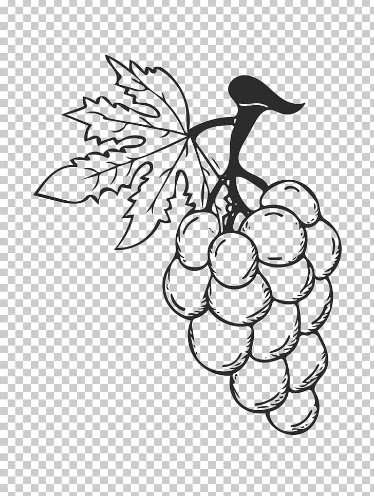 Red Wine Grape PNG, Clipart, Black, Branch, Cartoon Eyes, Fictional Character, Flower Free PNG Download