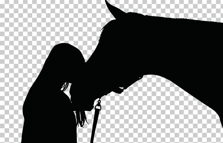 Riding Pony Arabian Horse Mustang PNG, Clipart, Black, Black And White, Bridle, Colt, Equestrian Free PNG Download