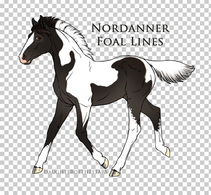 Stallion Mustang Foal Colt Mare PNG, Clipart, Beverage Store, Bridle, Colt, Foal, Halter Free PNG Download