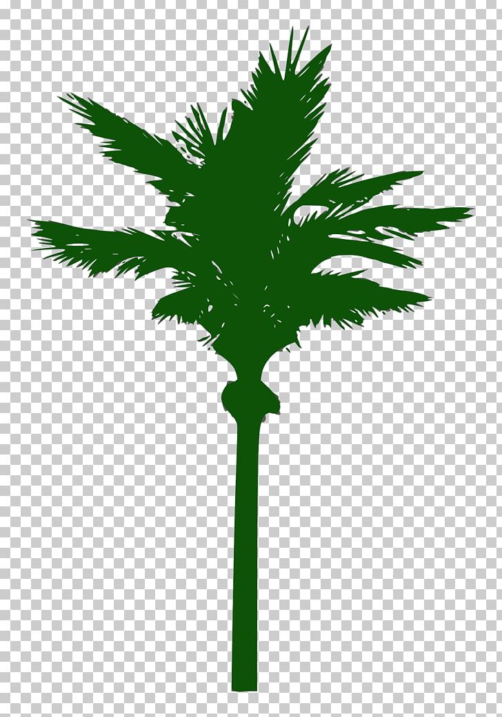 Tree PNG, Clipart, Arecales, Art, Borassus Flabellifer, Branch, Date Palm Free PNG Download