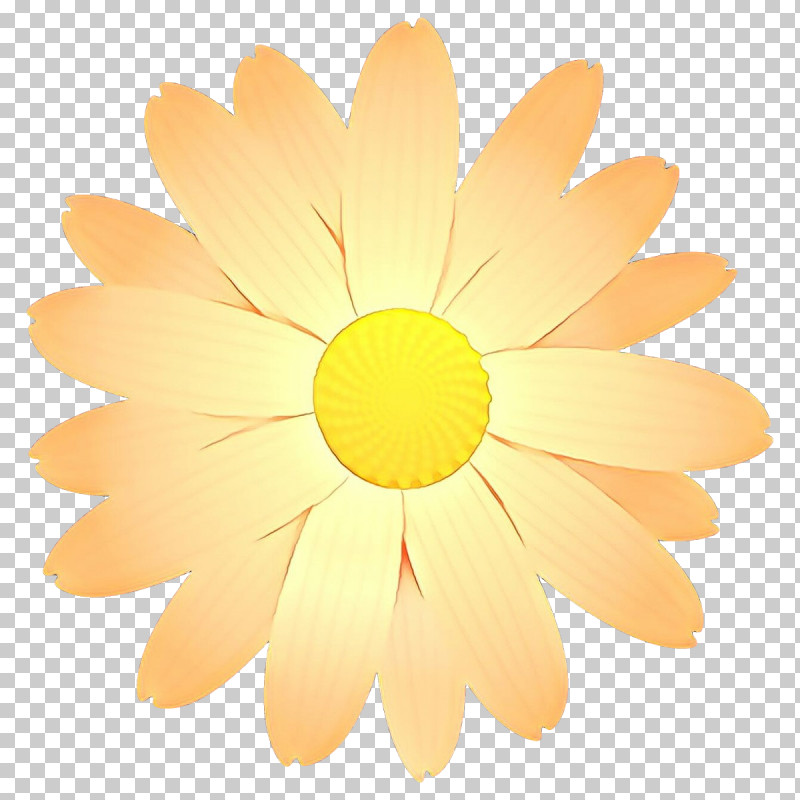 Daisy PNG, Clipart, Chamomile, Daisy, Flower, Gerbera, Mayweed Free PNG Download