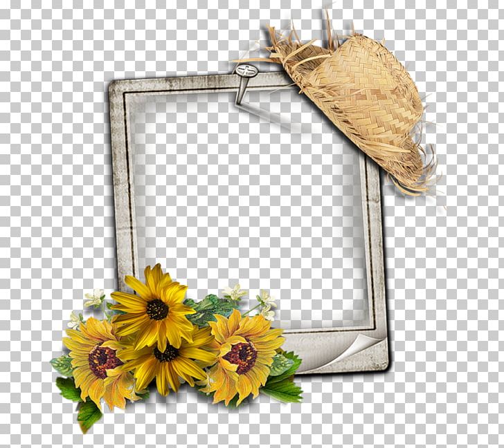 Frames Photography TinyPic PNG, Clipart, Cornici, Cut Flowers, Etching, Floral Design, Floristry Free PNG Download