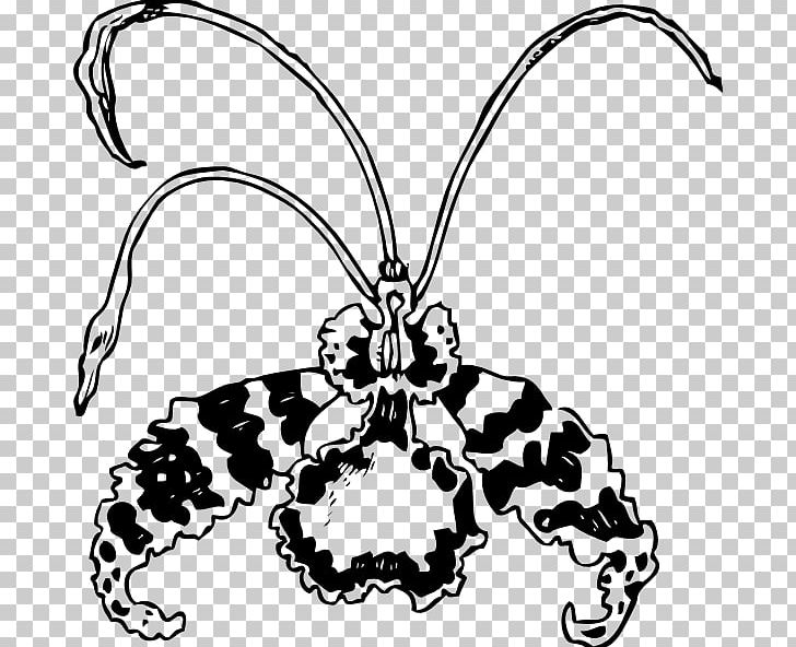 Moth Orchids Encyclia Flower PNG, Clipart, Arthropod, Artwork, Black And White, Body Jewelry, Butterfly Free PNG Download