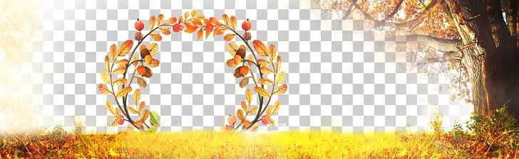 Yellow Autumn Advertising PNG, Clipart, Ads, Autumn Leaf, Autumn Leaves, Autumn Tree, Autumn Whispers Free PNG Download
