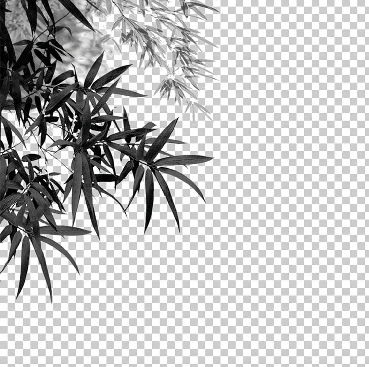 Bamboo Ink Wash Painting ASP.NET MVC PNG, Clipart, Active Server Pages, Bamboo Frame, Bamboo Leaf, Bamboo Leaves, Branch Free PNG Download