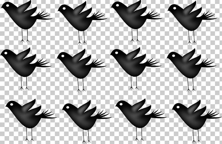 Computer Font Feather Blog Beak PNG, Clipart, Beak, Bird, Black And White, Blog, Chicken Free PNG Download