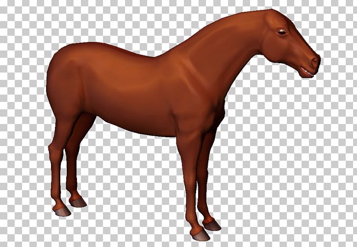 Horse Physics Newton's Laws Of Motion Reaction PNG, Clipart,  Free PNG Download
