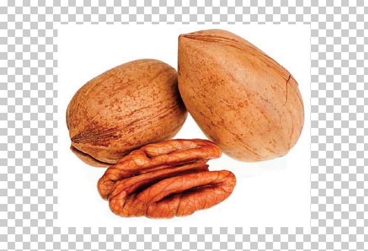 Pecan Pie Nut Flavor Noce Pecan PNG, Clipart, Butter Pecan, Cashew, Commodity, English Walnut, Flavor Free PNG Download