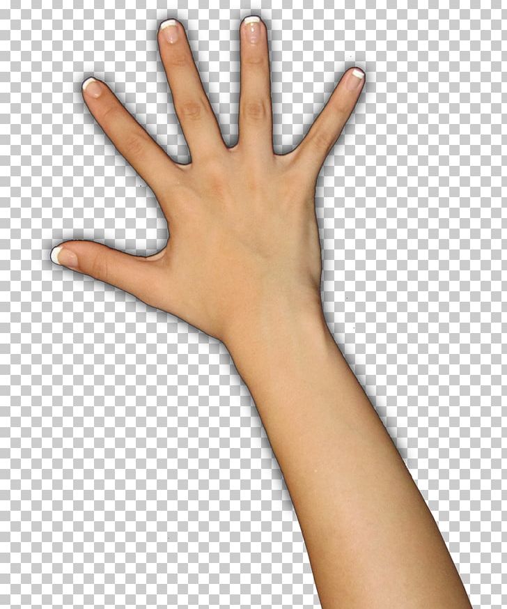 Arvika Onsala Thumb Market Hand Model PNG, Clipart, Arm, Finger, Glove, Hand, Hand Model Free PNG Download