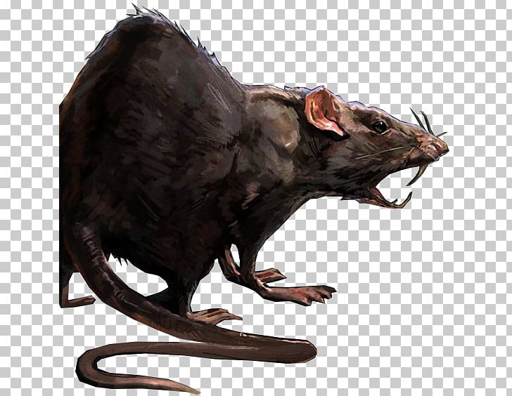 Dishonored 2 Laboratory Rat Mouse PNG, Clipart, Animal, Animals, Dishonored, Dishonored 2, Fauna Free PNG Download