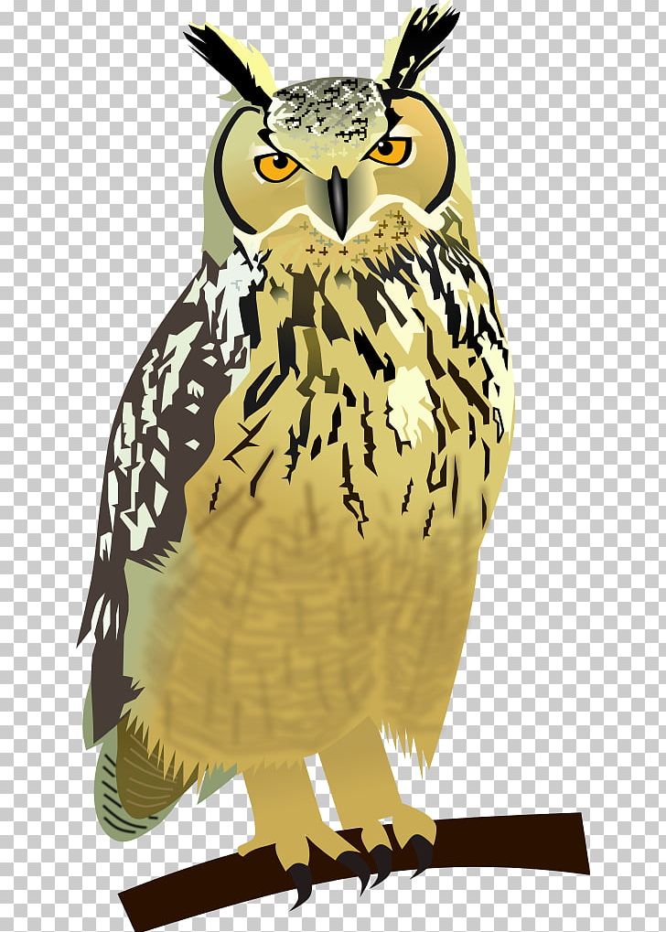 Great Horned Owl Drawing PNG, Clipart, Animals, Beak, Bird, Bird Of Prey, Drawing Free PNG Download